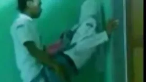 සොෆී රයන්