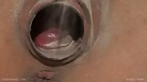 ගුද ආදරණීය බිරිඳ MILF සඳහා තහනම් මස්